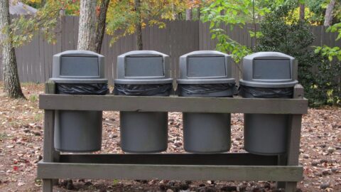 A row of garbage cans.